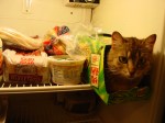 dsc000751