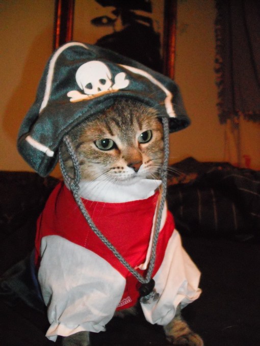 leeloopirate This is Leeloo.